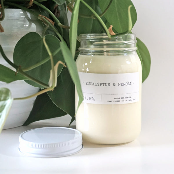 Eucalyptus & Neroli 16 oz Soy Candle