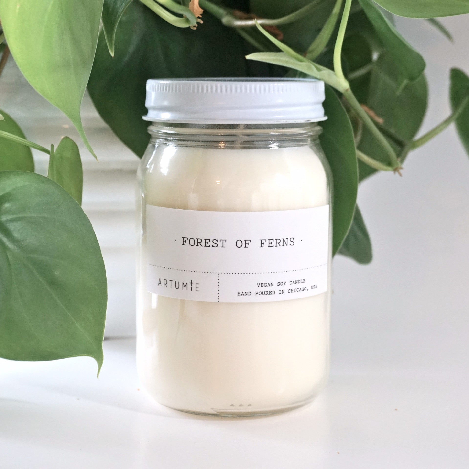 Forest of Ferns 16 oz Soy Candle